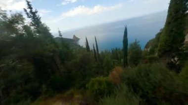 Ağaçların Üstünde İHA Yemyeşil Orman manzarası