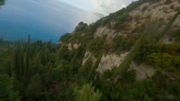 Dron nad drzewami szczyty bujnego krajobrazu leśnego — Wideo stockowe