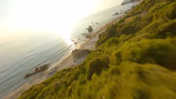 Drone over bomen naar zonovergoten strand en zee — Stockvideo