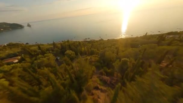나무를 넘어 해변으로 그리고 해 가질 때 바다로 가는 드론 — 비디오