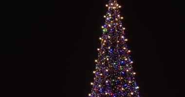 Parlak Peri Işıklarıyla Kaplanmış Noel Ağacı Kara Geceye Karşı