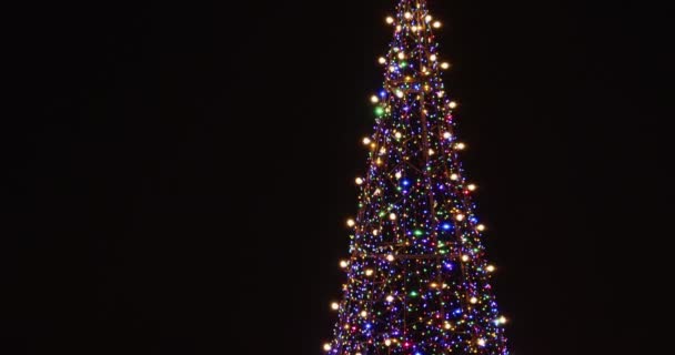 Julgran täckt i ljus älva ljus mot svart natt — Stockvideo