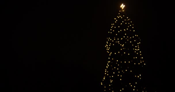 Glinting Fairy Lights On Christmas Tree At Night — Stok Video