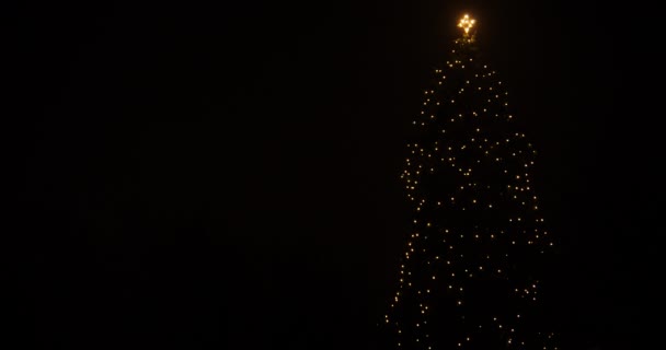 Luces de hadas centelleantes en el árbol de Navidad por la noche — Vídeos de Stock