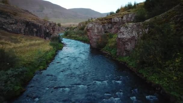 Κηφήνας πάνω από τον ποταμό στο φαράγγι του Akureyri — Αρχείο Βίντεο