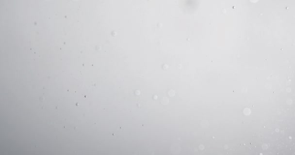 白い背景を背景に水を通して上昇する小さな泡 — ストック動画