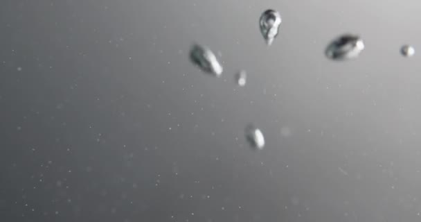 Burbujas de plata formando y subiendo a través del agua — Vídeos de Stock