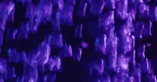 Burbujas púrpuras y azules subiendo y bajando en el agua — Vídeos de Stock