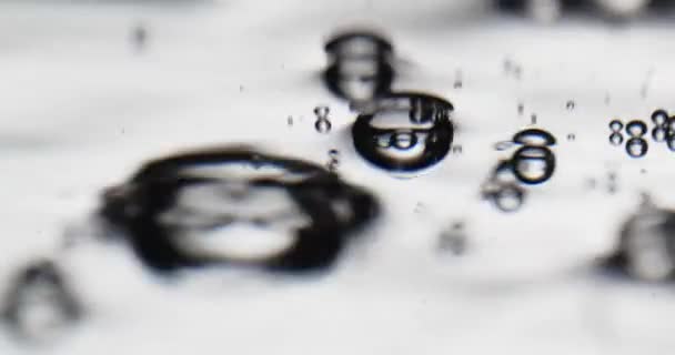 Blasen auf einer beweglichen Wasseroberfläche vor weißem Hintergrund — Stockvideo