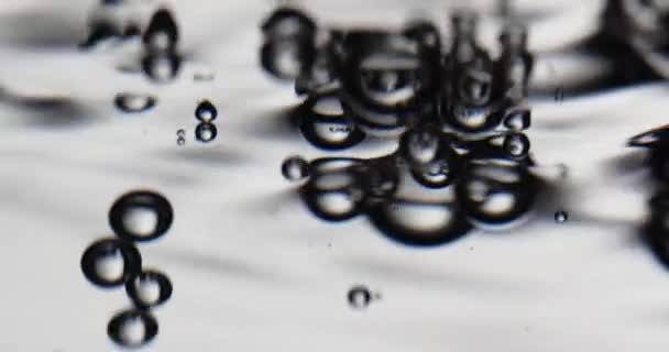 Burbujas en una superficie móvil de agua contra fondo blanco — Vídeos de Stock