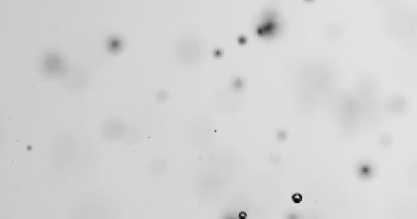 Bubbles Rising In Water Against White Background — Video Stock