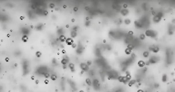 Burbujas subiendo en el agua contra fondo blanco — Vídeos de Stock