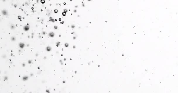 白を背景に水の泡が立ち上がる — ストック動画