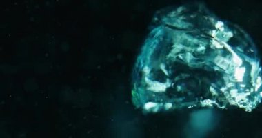 Mavi Baloncuklar Kara Arkaplan 'a Karşı Suda Yükseliyor