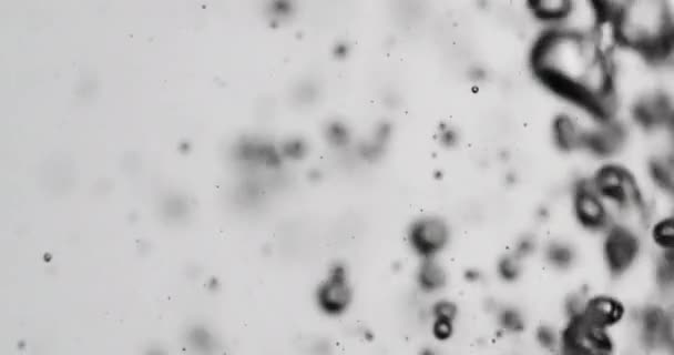 Burbujas subiendo en el agua contra fondo blanco — Vídeo de stock