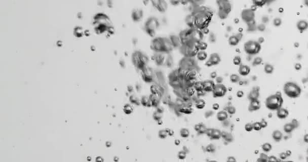 Bubbles Rising In Water Against White Background — 图库视频影像