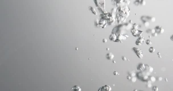 Bubbles Moving And Rising In Water Against White Background — стоковое видео