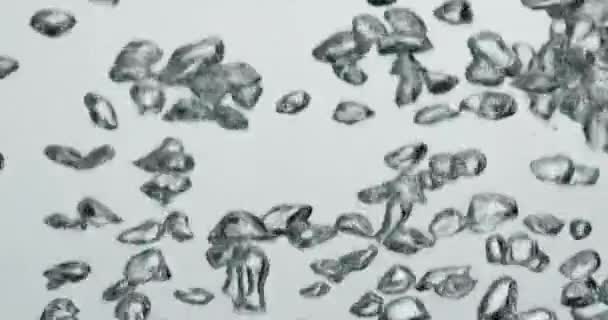 Bolhas em forma de abstrato subindo através da água — Vídeo de Stock