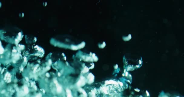 Blaue Blasen steigen durch Wasser vor schwarzem Hintergrund auf — Stockvideo