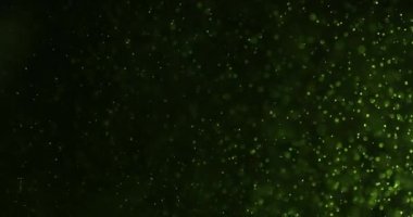 Siyah Arkaplan Karşısında Sudaki Yeşil Baloncuklar ve Parçacıklar