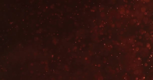 Red Bubbles And Particles In Water Against Black Background — Wideo stockowe
