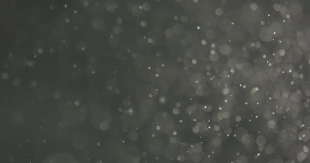 黒を背景に水に白い泡と粒子 — ストック動画