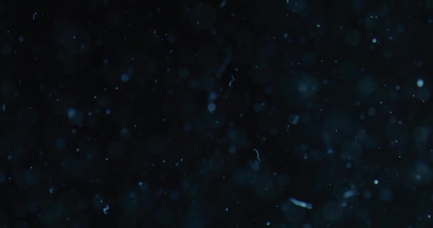 Σωματίδια και φυσαλίδες στο νερό σε μαύρο φόντο — Αρχείο Βίντεο