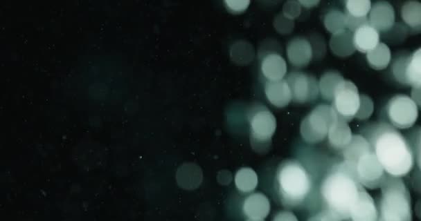 White Particles And Bubbles In Water Against Black Background — Stock videók