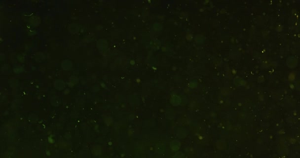 Πράσινες φυσαλίδες στο νερό σε μαύρο φόντο — Αρχείο Βίντεο