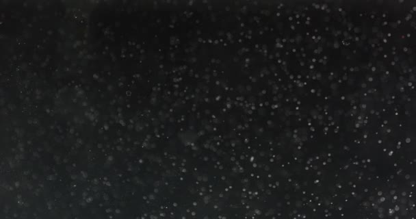 Fehér buborékok és részecskék a vízben fekete háttér — Stock videók