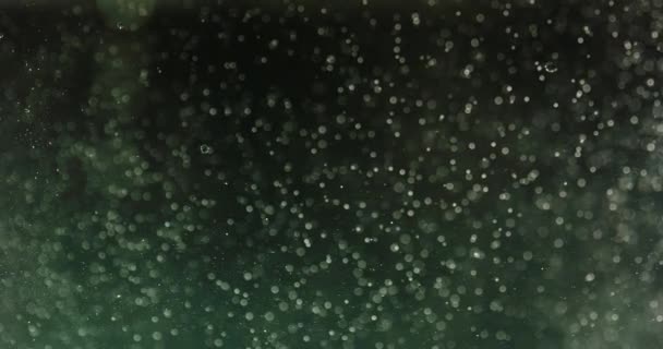 Green Bubbles And Particles In Water Against Black Background — Wideo stockowe