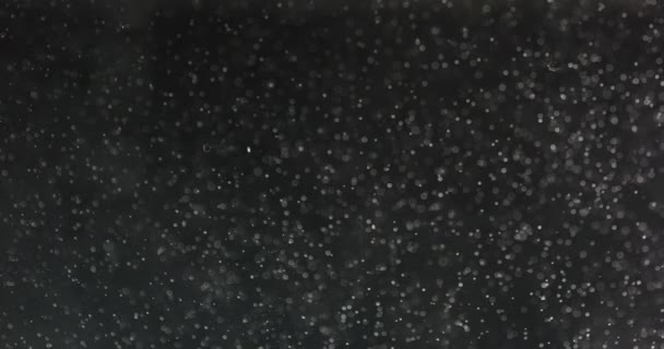 White Bubbles And Particles In Water Against Black Background — 图库视频影像