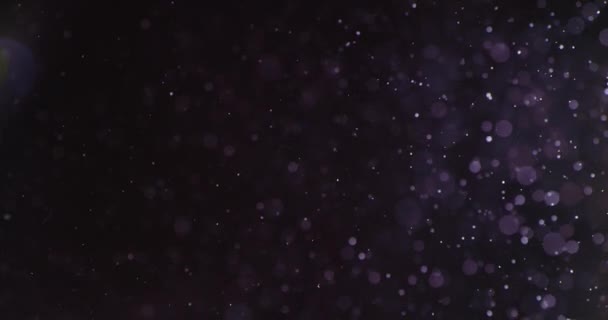 Burbujas y partículas púrpuras en el agua contra el fondo negro — Vídeo de stock
