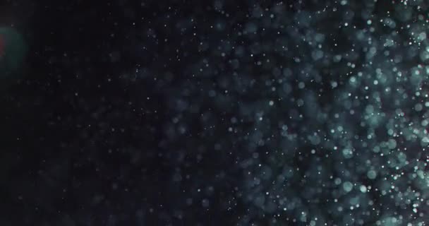 黒を背景に水に白い泡と粒子 — ストック動画