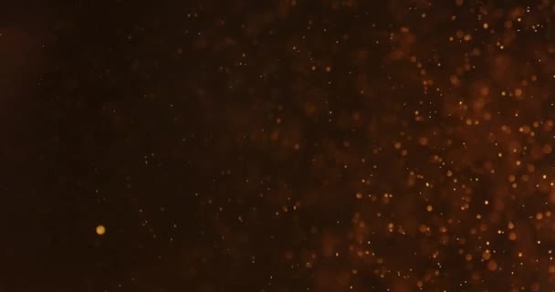 Красные пузыри и частицы в воде на черном фоне — стоковое видео