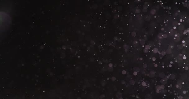 黒の背景に水に紫の泡と粒子 — ストック動画