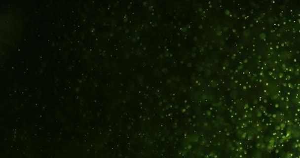 Green Bubbles And Particles In Water Against Black Background — Wideo stockowe