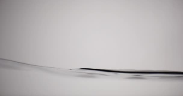 Επιφάνεια του νερού κινείται πάνω και κάτω σε λευκό φόντο — Αρχείο Βίντεο