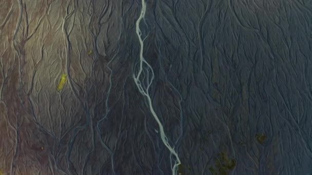 Dron nad słonecznym krajobrazem z wyschniętym korytem rzeki plecionej — Wideo stockowe
