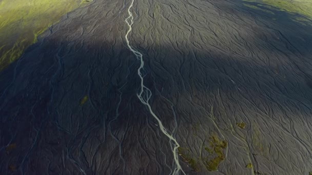 Дрони над залитим сонцем ландшафтом з сухим Річковим лісом — стокове відео