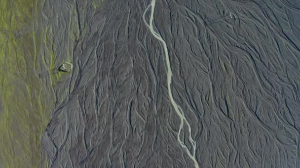Дрони над залитим сонцем ландшафтом з сухим Річковим лісом — стокове відео