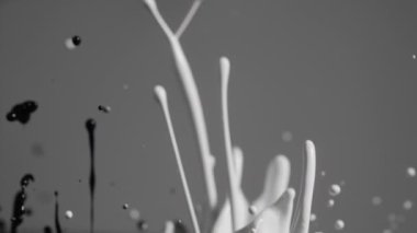 Siyah ve beyaz boya soyut şekillerde birlikte sıçrıyor.