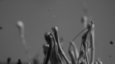 Siyah ve beyaz boya soyut şekillerde birlikte sıçrıyor.