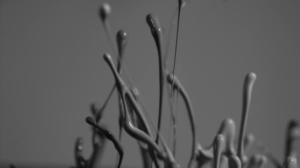 Pintura en blanco y negro salpicando juntos en formas abstractas — Vídeos de Stock