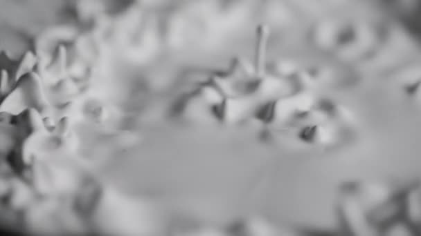 Абстрактні візерунки, що утворюються у білій фарбі, коли вона рухається — стокове відео