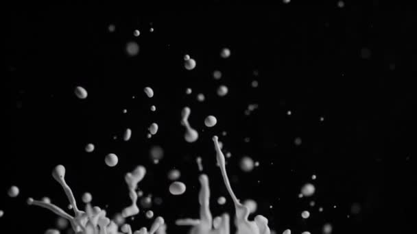 Λευκές σταγόνες μπογιάς πετώντας στον αέρα — Αρχείο Βίντεο