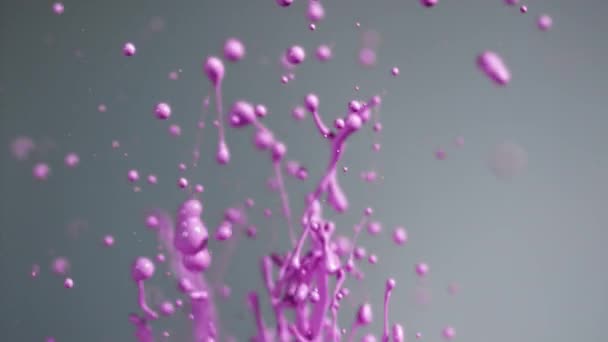 Gotas de pintura púrpura brillante salpicaduras en el aire — Vídeos de Stock