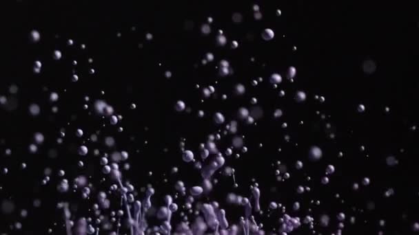 Пурпурный брызги краски с капельками в воздух — стоковое видео