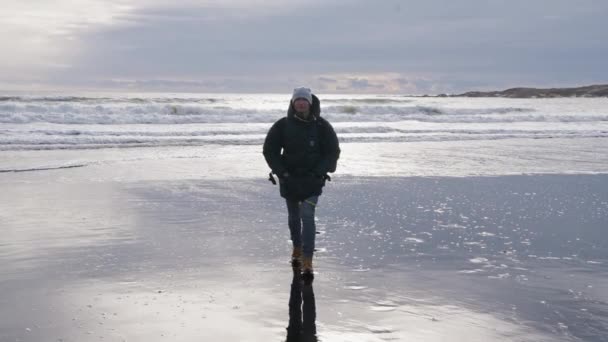 Tracking Wide Slow Motion Shot Man Walking Sunlit Wet Beach — Stock Video