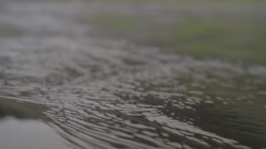 Black Sand Beach, İzlanda 'da Akmakta olan Deniz Suyu' nun Yakın Çekimi